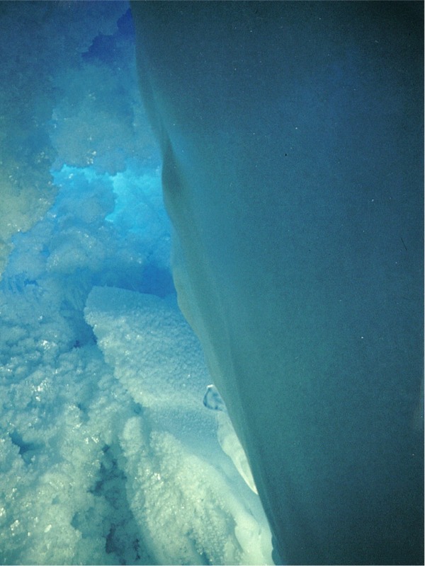 ant mte dry 15.jpg